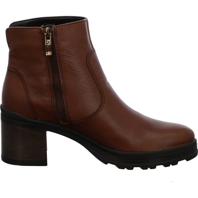 Brown Ara Shoes Ankle Mantova Cognac Women's Boots | ARA415KNW