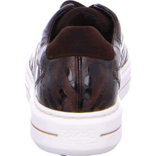 Brown Ara Shoes Courtyard Women's Sneakers | ARA342JAK