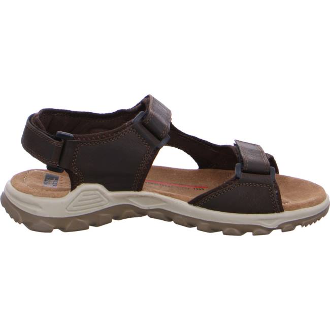 Brown Ara Shoes Ericsen Men's Sandals | ARA043MTP