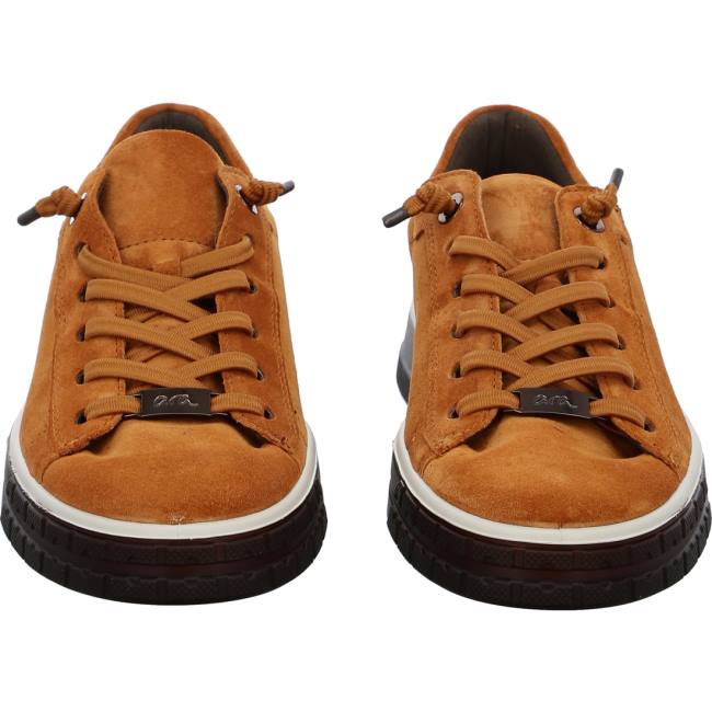 Brown Ara Shoes Frisco Ambra Women's Sneakers | ARA948IEP