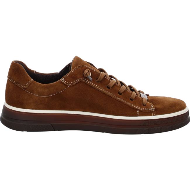 Brown Ara Shoes Frisco Nuts Women's Sneakers | ARA851GRH