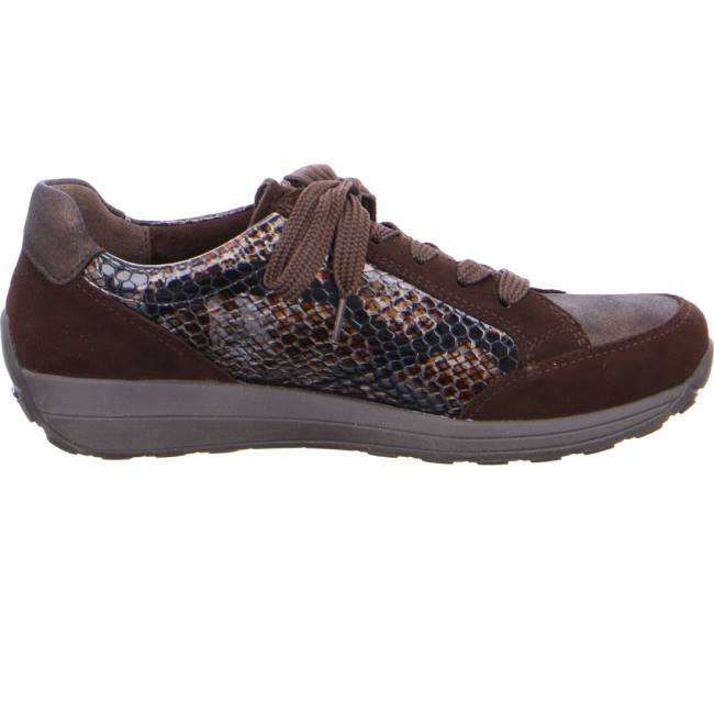 Brown Ara Shoes Lace-ups Merano Women's Sneakers | ARA645BLX