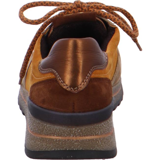 Brown Ara Shoes Lace-ups Osaka Women's Sneakers | ARA253PMB