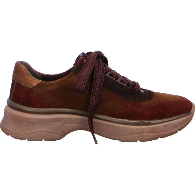 Brown Ara Shoes Lace-ups Roma Women's Sneakers | ARA089XWA