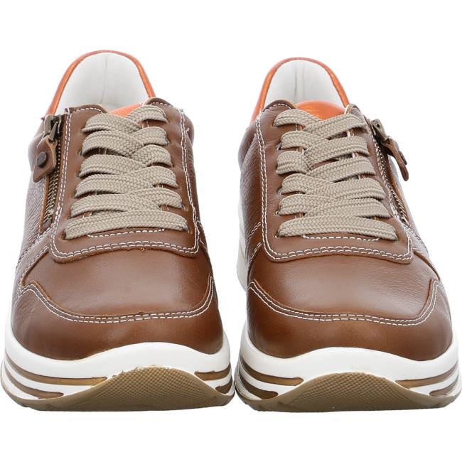 Brown Ara Shoes Lace-ups Sapporo Cognac Women's Sneakers | ARA648HZF