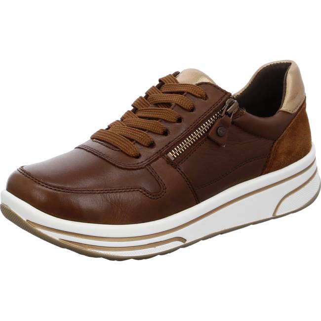 Brown Ara Shoes Lace-ups Sapporo Nuts Women\'s Sneakers | ARA014GIC