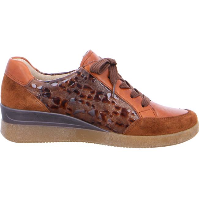 Brown Ara Shoes Lazio Women's Sneakers | ARA457TKW