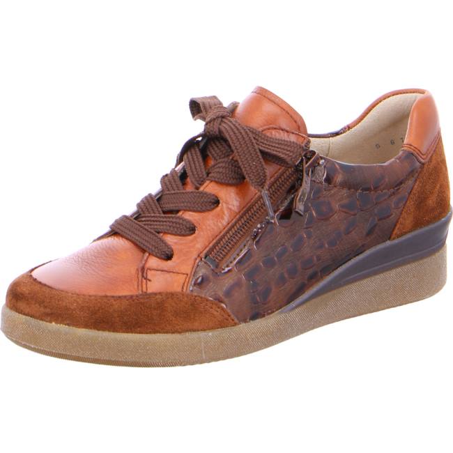 Brown Ara Shoes Lazio Women\'s Sneakers | ARA457TKW