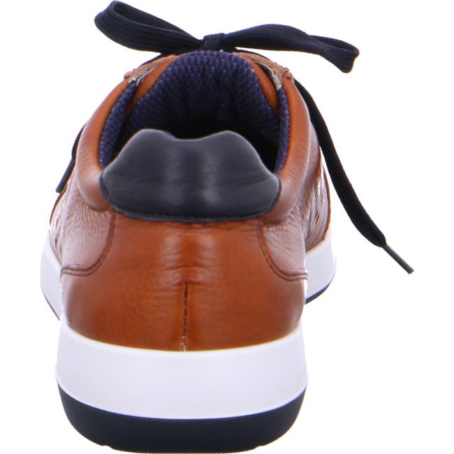 Brown Ara Shoes Patrick Men's Sneakers | ARA109HVW