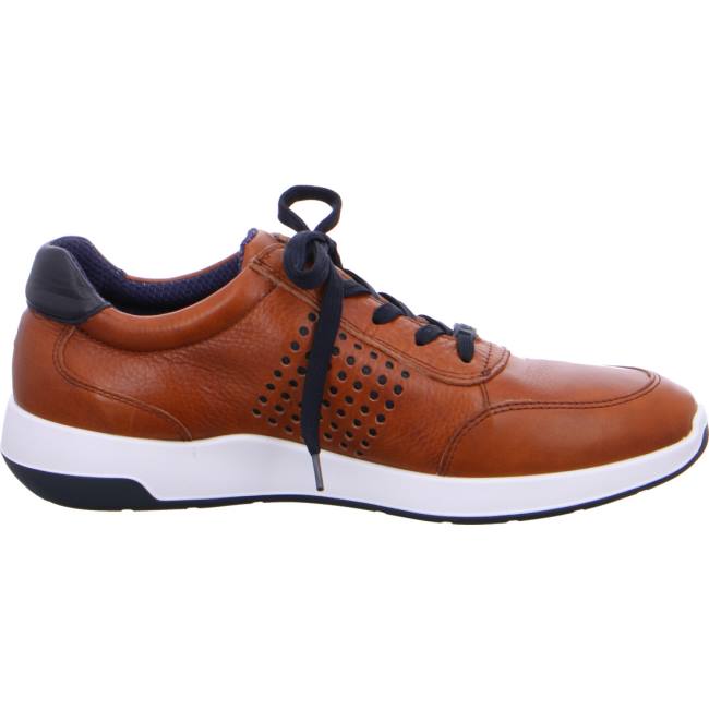 Brown Ara Shoes Patrick Men's Sneakers | ARA109HVW