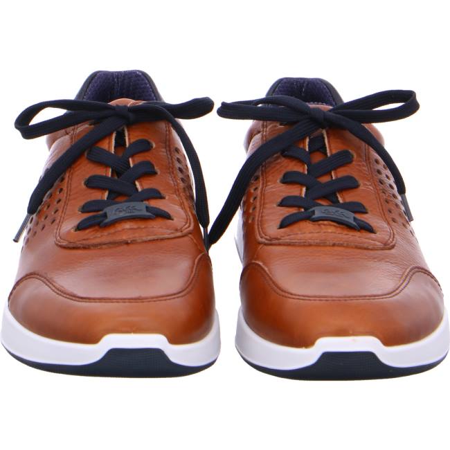 Brown Ara Shoes Patrick Men's Sneakers | ARA109HVW