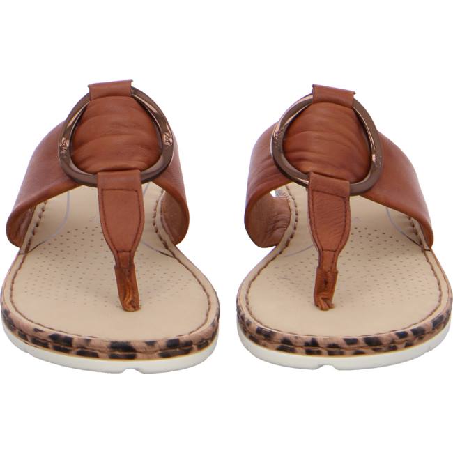 Brown Ara Shoes Positano Cognac Women's Mules | ARA251UVJ